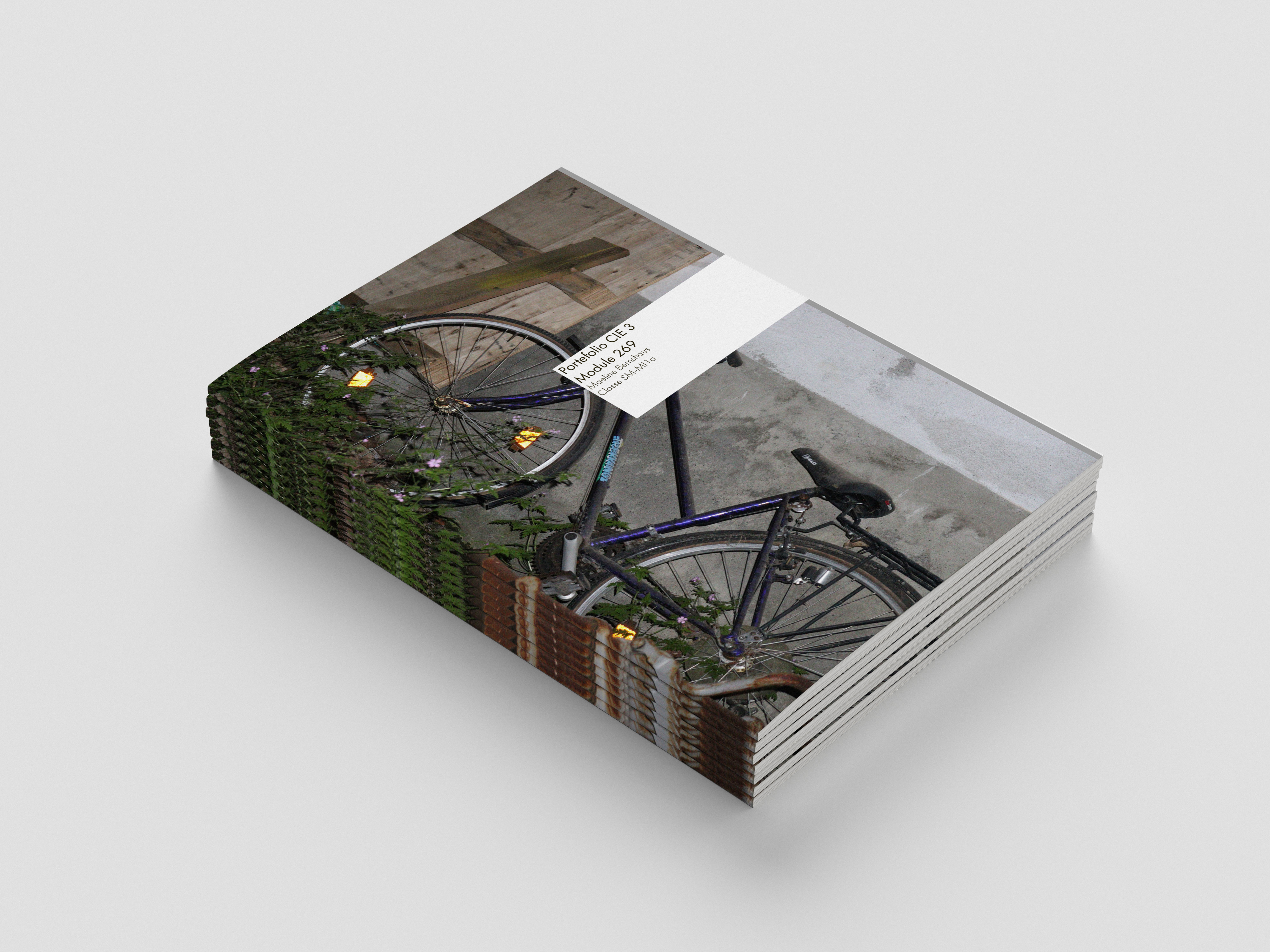 MOD269 — Portfolio CIE Photographie